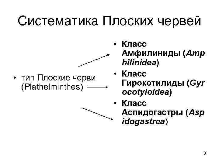 Систематика Плоских червей • тип Плоские черви (Plathelminthes) • Класс Амфилиниды (Amp hilinidea) •