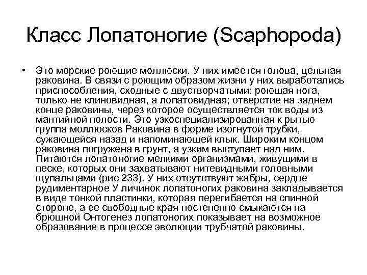 Класс Лопатоногие (Scaphopoda) • Это морские роющие моллюски. У них имеется голова, цельная раковина.