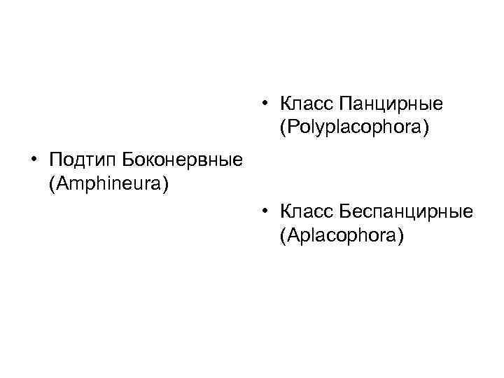  • Класс Панцирные (Polyplacophora) • Подтип Боконервные (Amphineura) • Класс Беспанцирные (Aplacophora) 