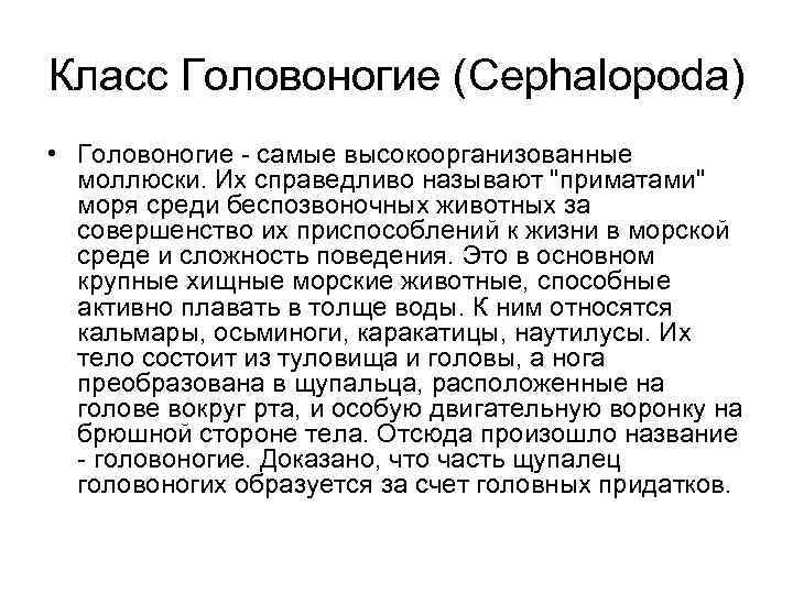 Класс Головоногие (Cephalopoda) • Головоногие - самые высокоорганизованные моллюски. Их справедливо называют 