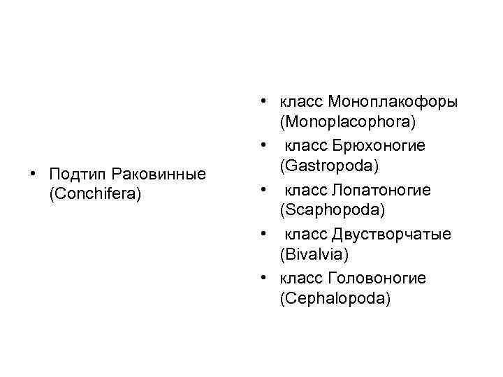  • Подтип Раковинные (Conchifera) • класс Моноплакофоры (Monoplacophora) • класс Брюхоногие (Gastropoda) •