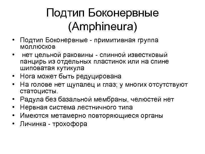 Подтип Боконервные (Amphineura) • Подтип Боконервные - примитивная группа моллюсков • нет цельной раковины