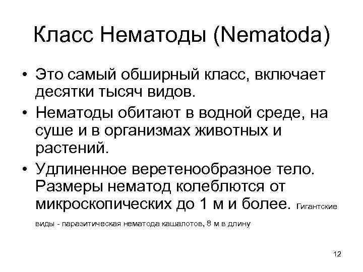 Класс Нематоды (Nematoda) • Это самый обширный класс, включает десятки тысяч видов. • Нематоды
