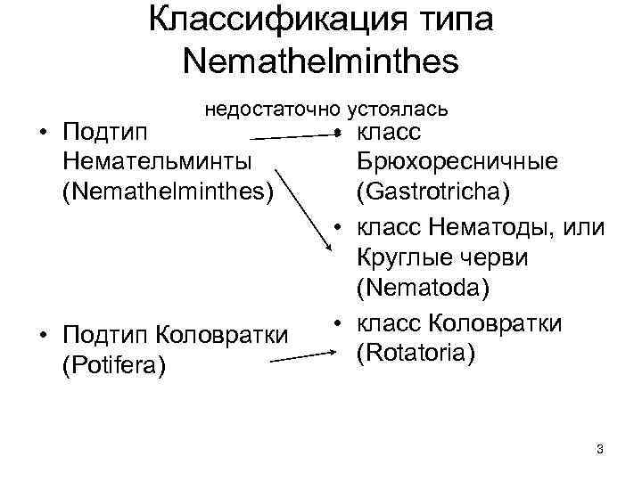 Классификация типа Nemathelminthes недостаточно устоялась • Подтип Немательминты (Nemathelminthes) • Подтип Коловратки (Potifera) •