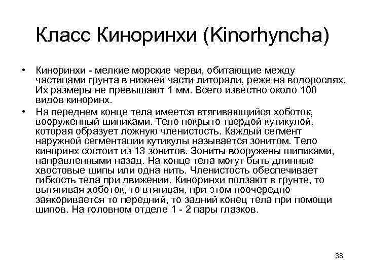 Класс Киноринхи (Kinorhyncha) • Киноринхи - мелкие морские черви, обитающие между частицами грунта в