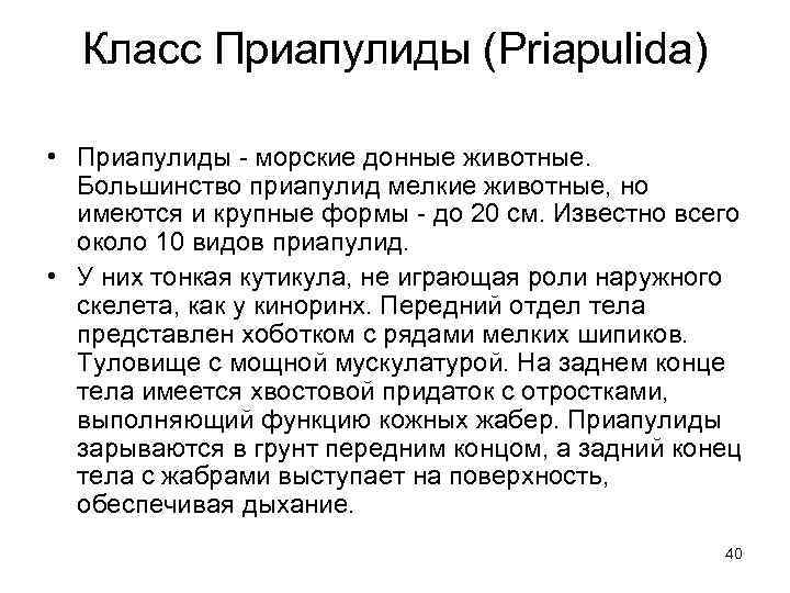 Класс Приапулиды (Priapulida) • Приапулиды - морские донные животные. Большинство приапулид мелкие животные, но