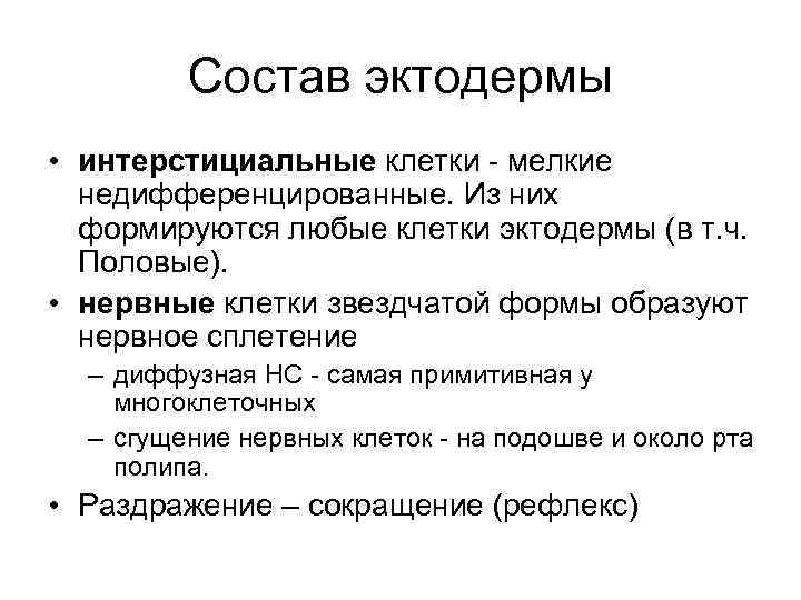Состав эктодермы • интерстициальные клетки - мелкие недифференцированные. Из них формируются любые клетки эктодермы