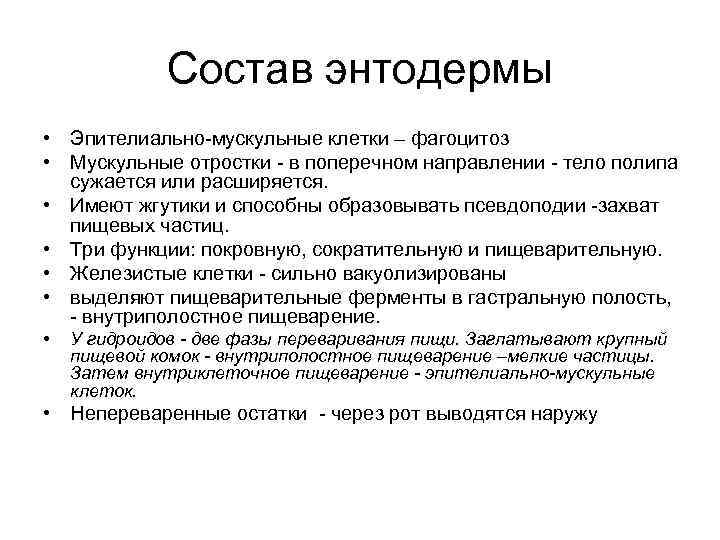 Состав энтодермы • Эпителиально-мускульные клетки – фагоцитоз • Мускульные отростки - в поперечном направлении