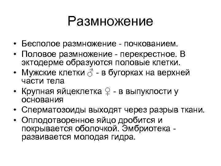 Размножение • Бесполое размножение - почкованием. • Половое размножение - перекрестное. В эктодерме образуются