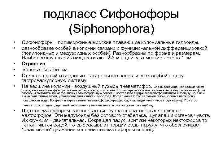 подкласс Сифонофоры (Siphonophora) • • • Сифонофоры - полиморфные морские плавающие колониальные гидроиды. разнообразие