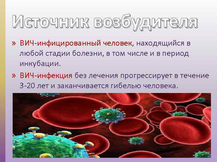 Источник возбудителя » ВИЧ-инфицированный человек, находящийся в любой стадии болезни, в том числе и