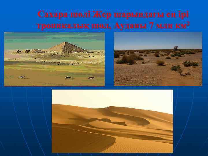 Сахара шөлі Жер шарындағы ең ірі тропикалық шөл, Ауданы 7 млн км 2 