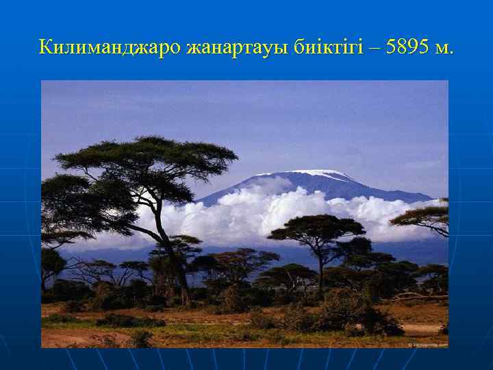 Килиманджаро жанартауы биіктігі – 5895 м. 