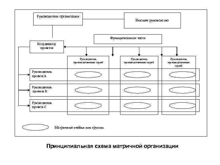 Руководитель организации Высшее руководство Функциональная часть Координатор проектов Руководитель производственных служб Руководитель проекта А