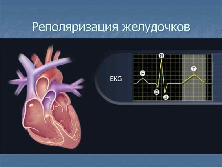 Реполяризация желудочков 