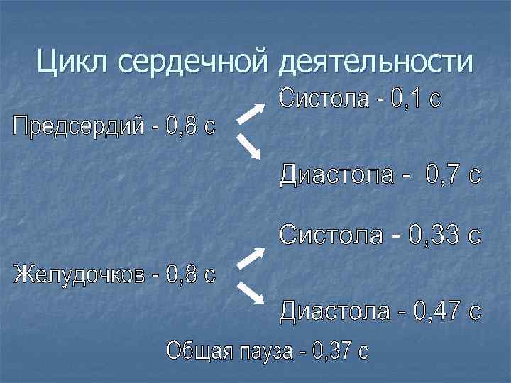 Цикл сердечной деятельности 