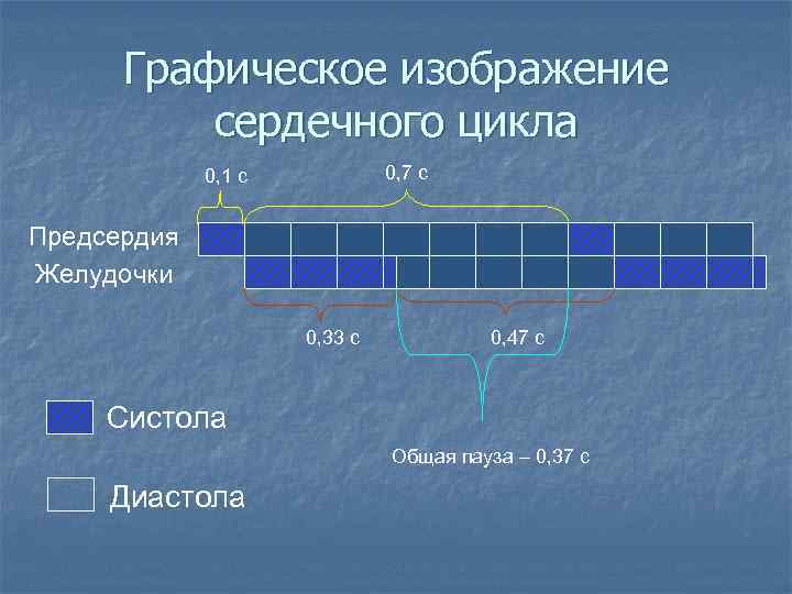 Графическое изображение сердечного цикла 0, 7 с 0, 1 с Предсердия Желудочки 0, 33