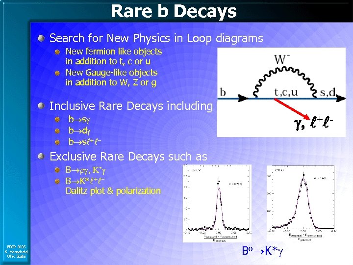 Rare b Decays Search for New Physics in Loop diagrams New fermion like objects
