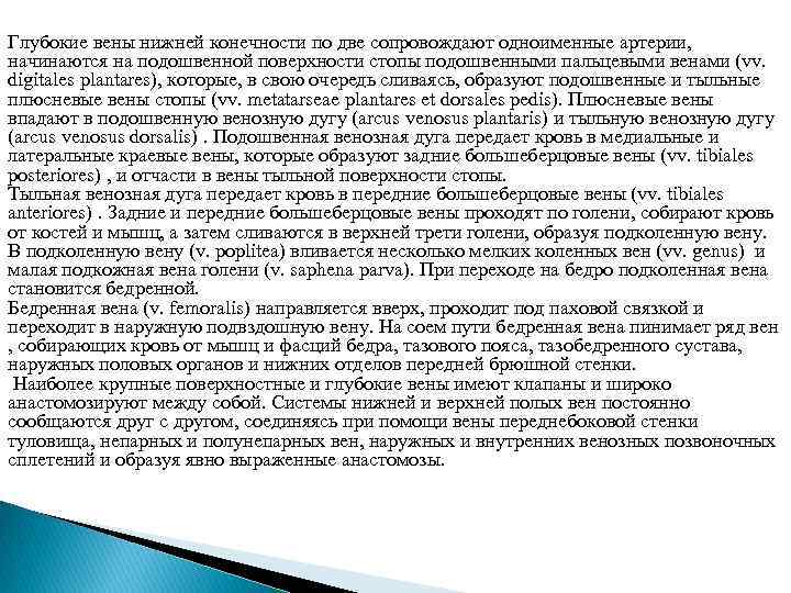 Глубокие вены нижней конечности по две сопровождают одноименные артерии, начинаются на подошвенной поверхности стопы