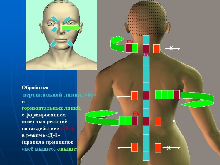 FV Обработка вертикальной линии, « 6 т» и горизонтальных линий, с формированием ответных реакций