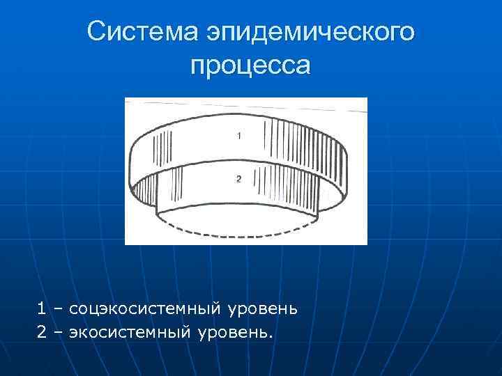 Система эпидемического процесса 1 – соцэкосистемный уровень 2 – экосистемный уровень. 