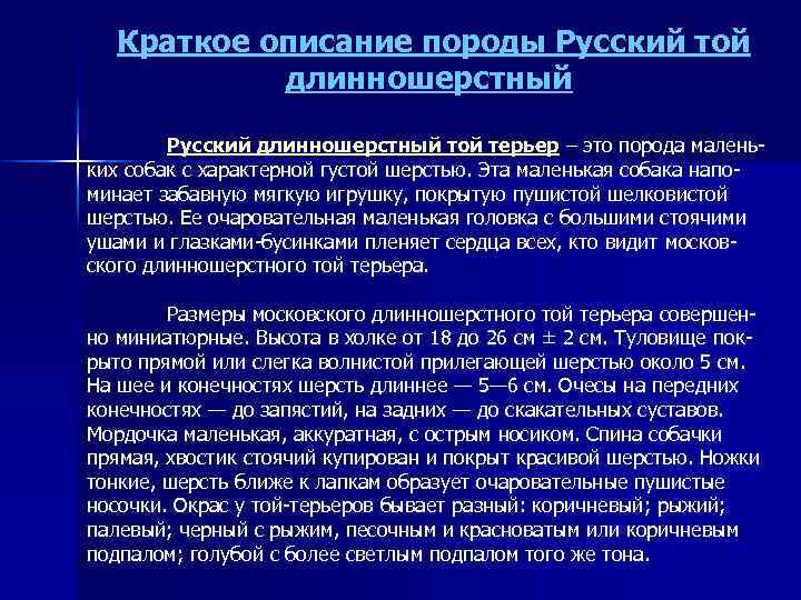 Краткое описание породы Русский той длинношерстный Русский длинношерстный той терьер – это порода маленьких