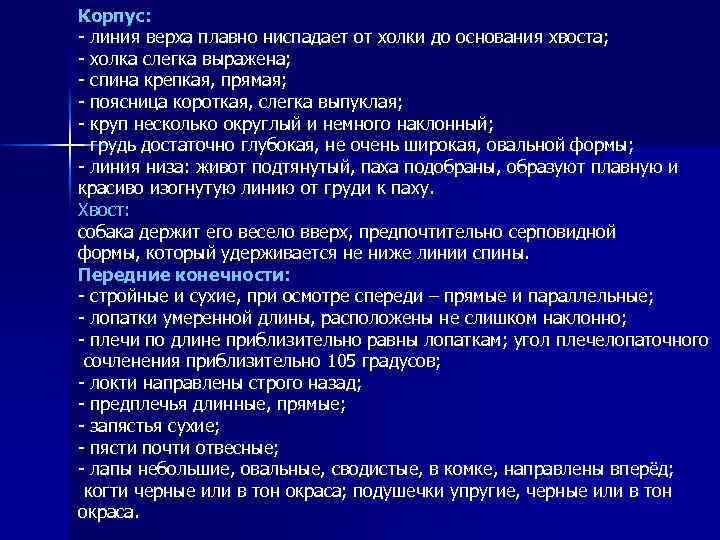 Корпус: - линия верха плавно ниспадает от холки до основания хвоста; - холка слегка