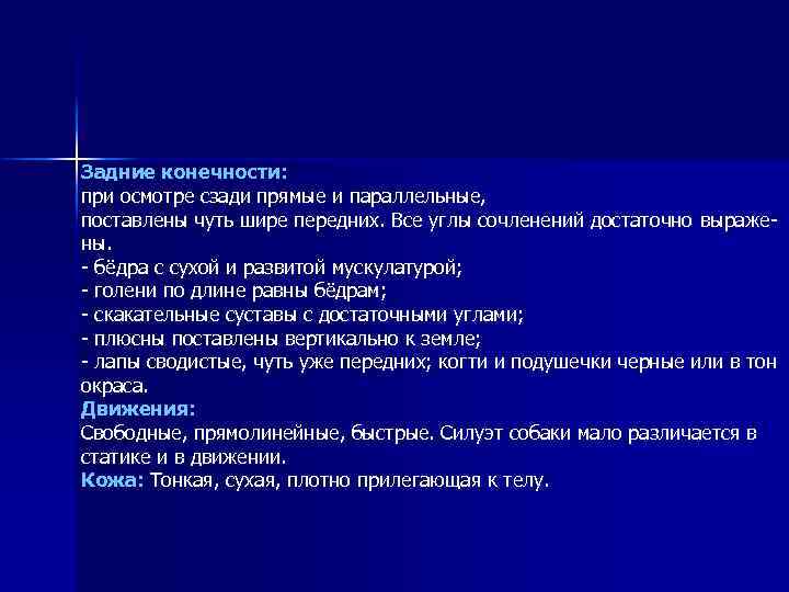 Задние конечности: при осмотре сзади прямые и параллельные, поставлены чуть шире передних. Все углы