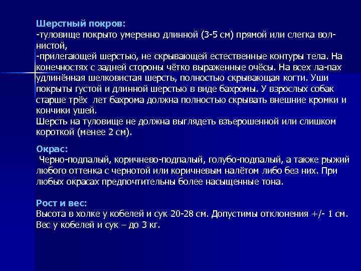 Шерстный покров: -туловище покрыто умеренно длинной (3 -5 см) прямой или слегка волнистой, -прилегающей