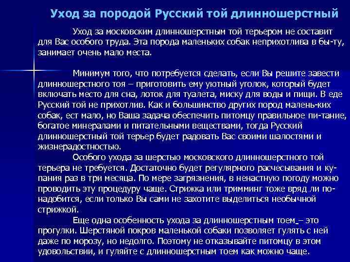 Уход за породой Русский той длинношерстный Уход за московским длинношерстным той терьером не составит