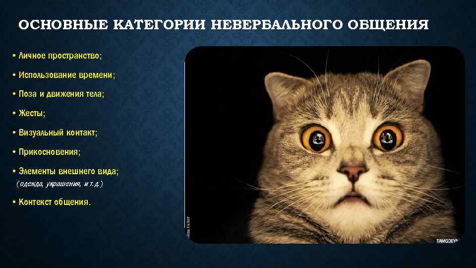 ОСНОВНЫЕ КАТЕГОРИИ НЕВЕРБАЛЬНОГО ОБЩЕНИЯ • Личное пространство; • Использование времени; • Поза и движения