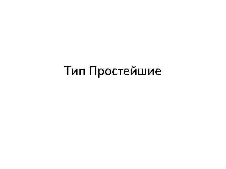 Тип Простейшие 