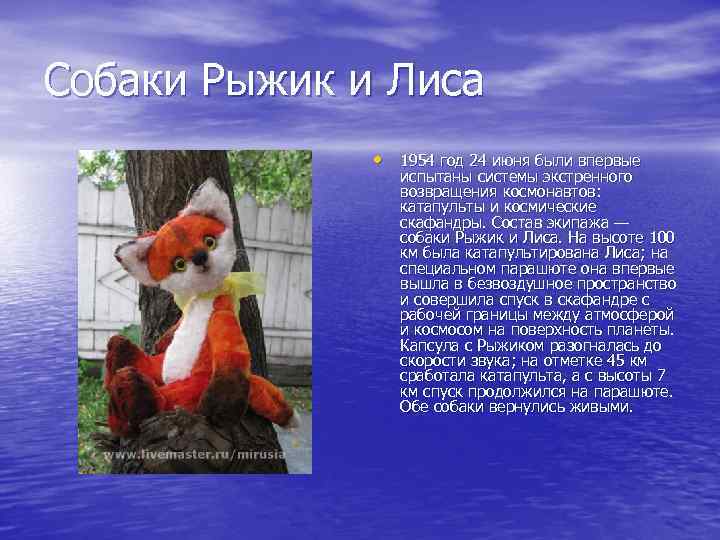 Собаки Рыжик и Лиса • 1954 год 24 июня были впервые испытаны системы экстренного