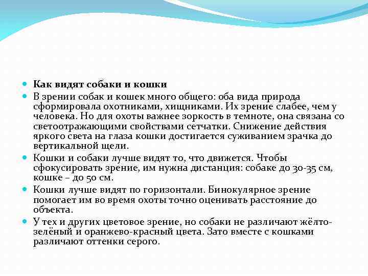  Как видят собаки и кошки В зрении собак и кошек много общего: оба
