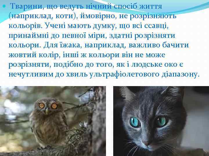  Тварини, що ведуть нічний спосіб життя (наприклад, коти), ймовірно, не розрізняють кольорів. Учені