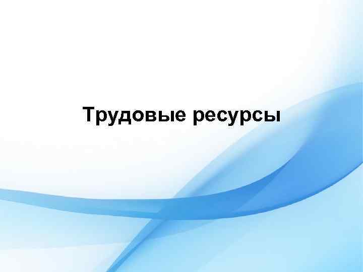 Трудовые ресурсы 