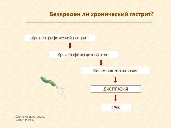 Безвреден ли хронический гастрит? Хр. неатрофический гастрит Хр. атрофический гастрит Кишечная метаплазия ДИСПЛАЗИЯ РАК