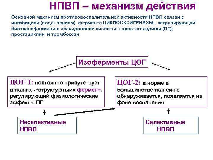 НПВП – механизм действия Основной механизм противовоспалительной активности НПВП связан с ингибицией (подавлением) фермента