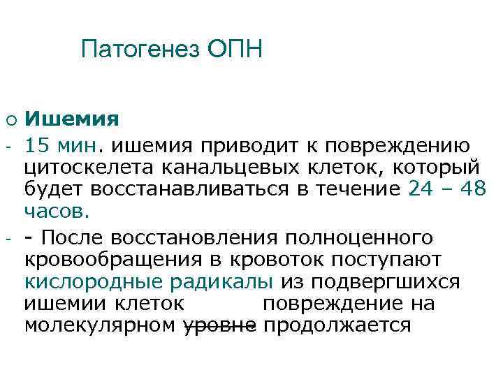 Патогенез ОПН ¡ - - Ишемия 15 мин. ишемия приводит к повреждению цитоскелета канальцевых