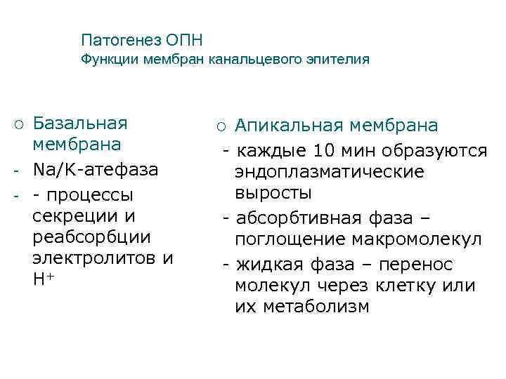 Патогенез ОПН Функции мембран канальцевого эпителия ¡ - Базальная мембрана Na/K-атефаза - процессы секреции