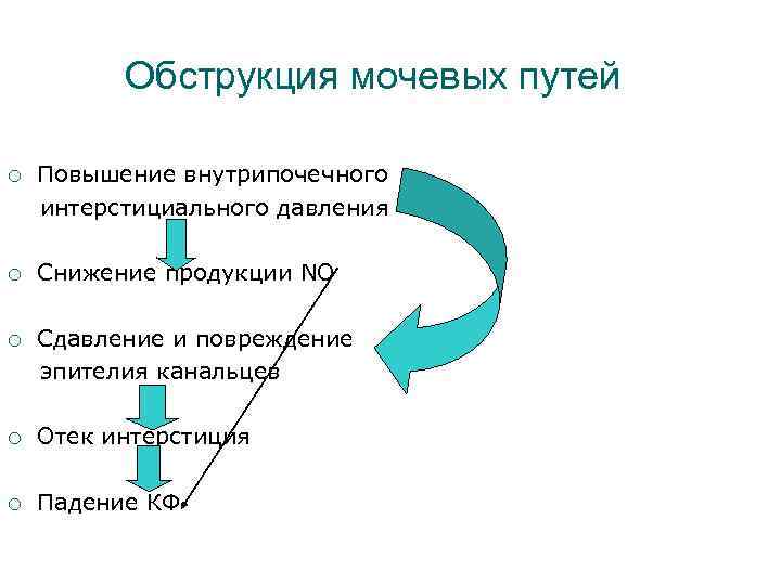 Обструкция мочевых путей ¡ Повышение внутрипочечного интерстициального давления ¡ Снижение продукции NO ¡ Сдавление