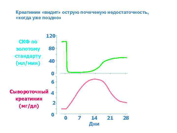 Креатинин «видит» острую почеченую недостаточность, «когда уже поздно» СКФ по золотому стандарту (мл/мин) 120