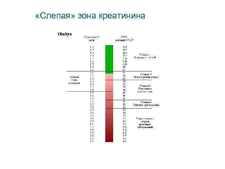 «Слепая» зона креатинина 