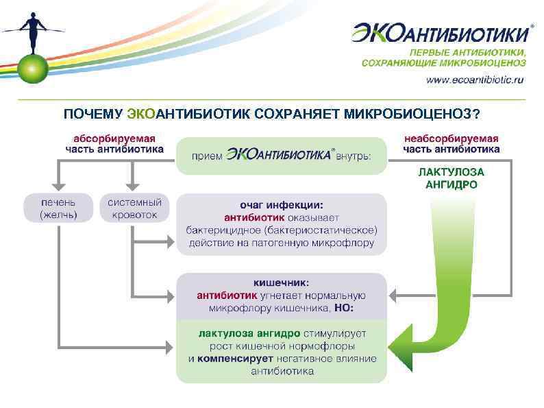 ПОЧЕМУ ЭКОАНТИБИОТИК СОХРАНЯЕТ МИКРОБИОЦЕНОЗ? 