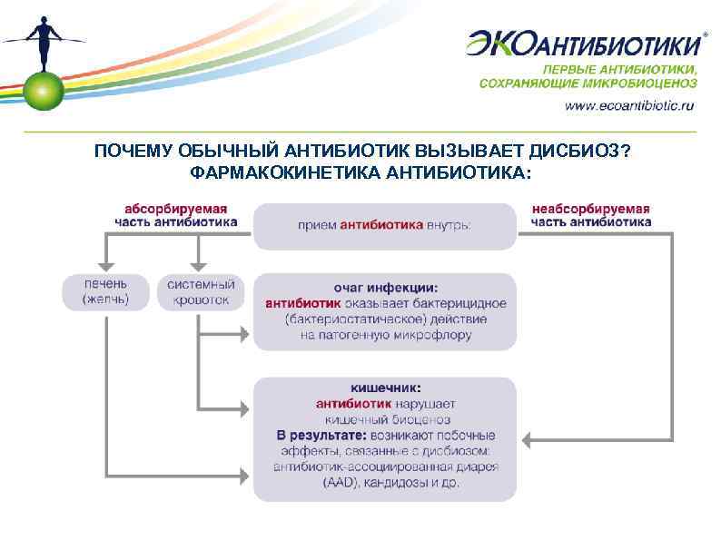 Почему обычный. Экоантибиотики. Экоантибиотики список. Экоантибиотики виды. Экоантибиотики перечень цена.