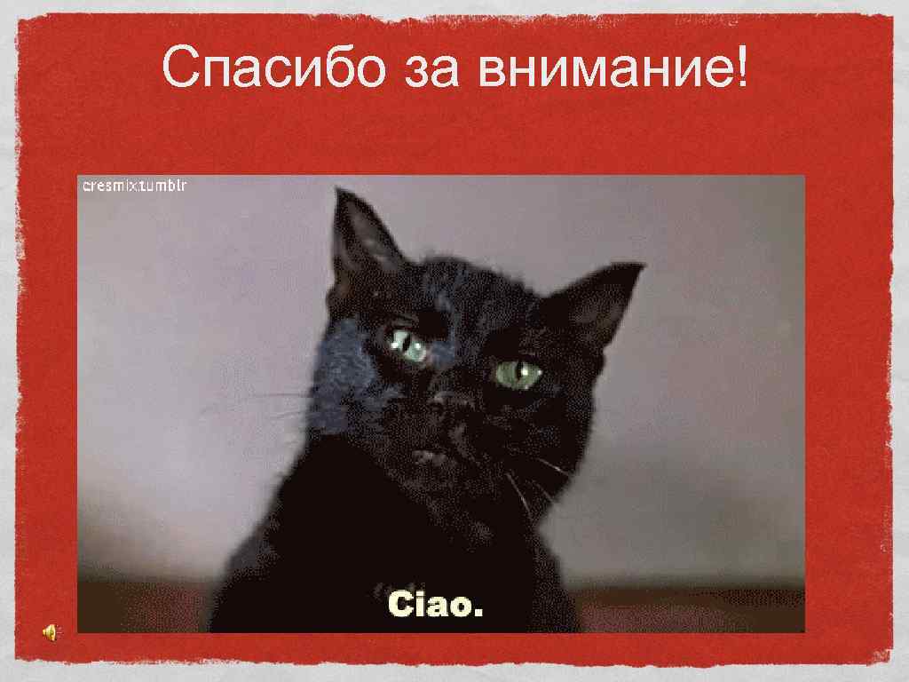 Спасибо за внимание! 