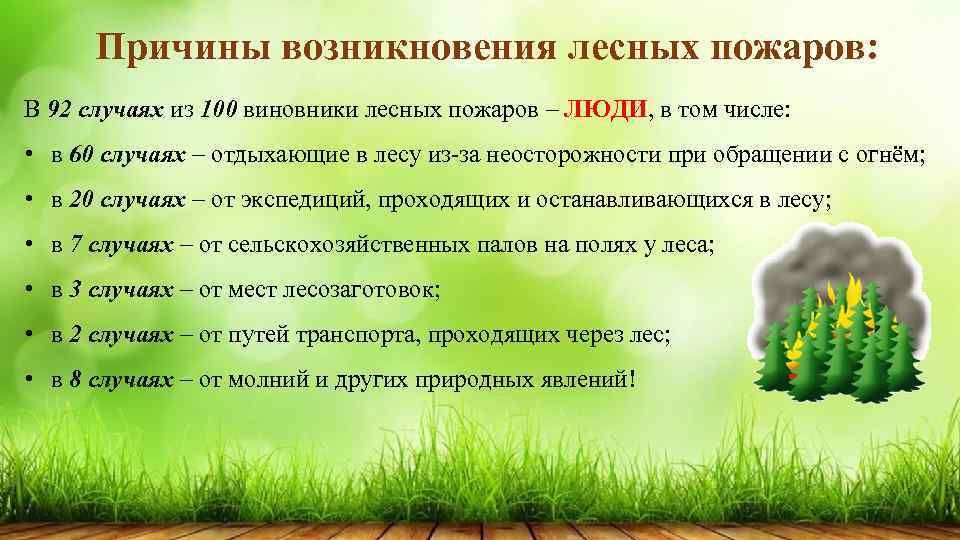 Причины возникновения лесных пожаров: В 92 случаях из 100 виновники лесных пожаров – ЛЮДИ,