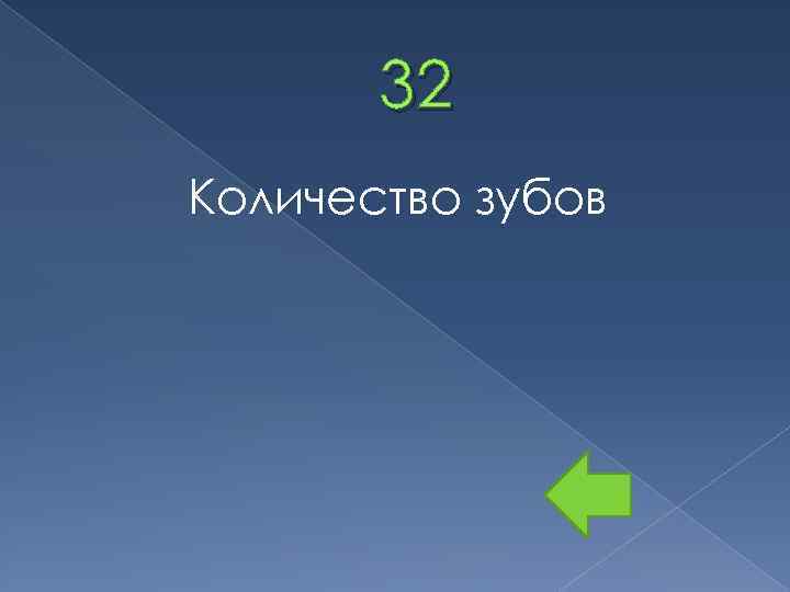 32 Количество зубов 