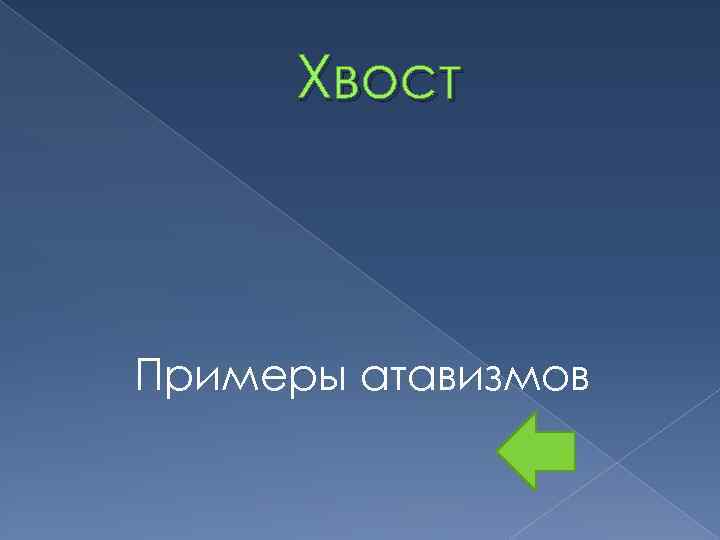 Хвост Примеры атавизмов 