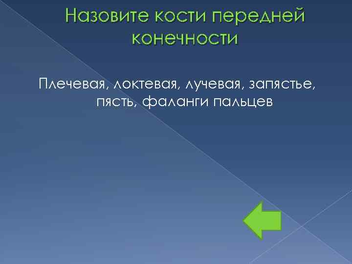 Назовите кости передней конечности Плечевая, локтевая, лучевая, запястье, пясть, фаланги пальцев 